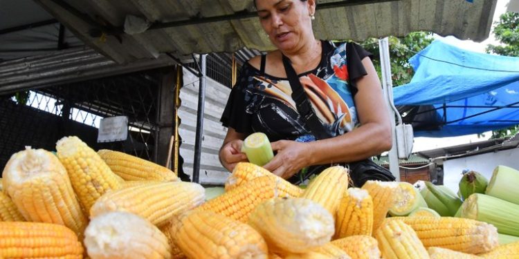 Procon Bayeux orienta população sobre preços e pesquisa de mercado durante festejos juninos