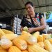 Procon Bayeux orienta população sobre preços e pesquisa de mercado durante festejos juninos