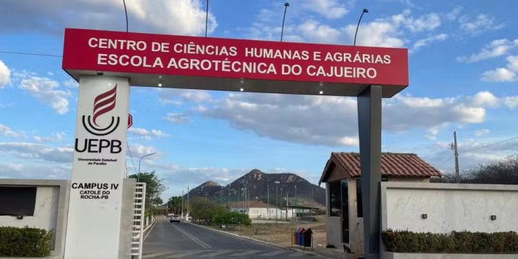 UEPB abre 120 vagas para curso técnico em Agropecuária